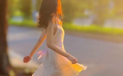 新西游记动画片高清